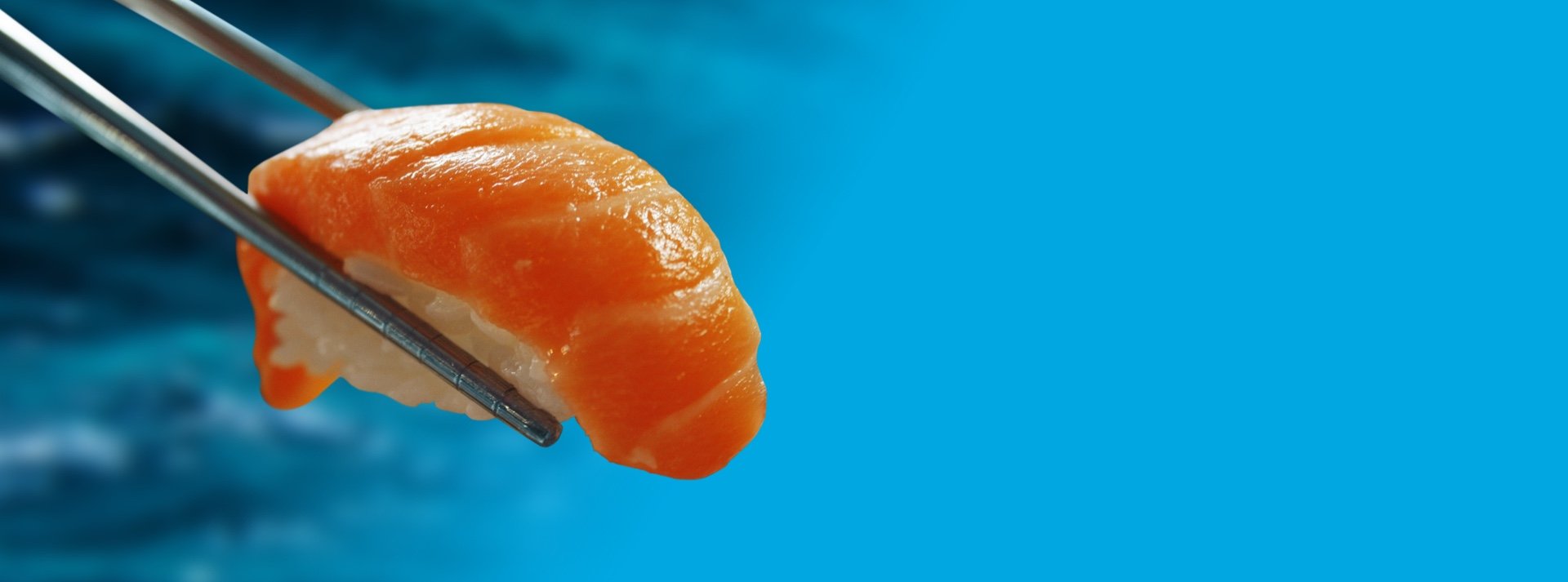 Salmon sushi being held by chopsticks