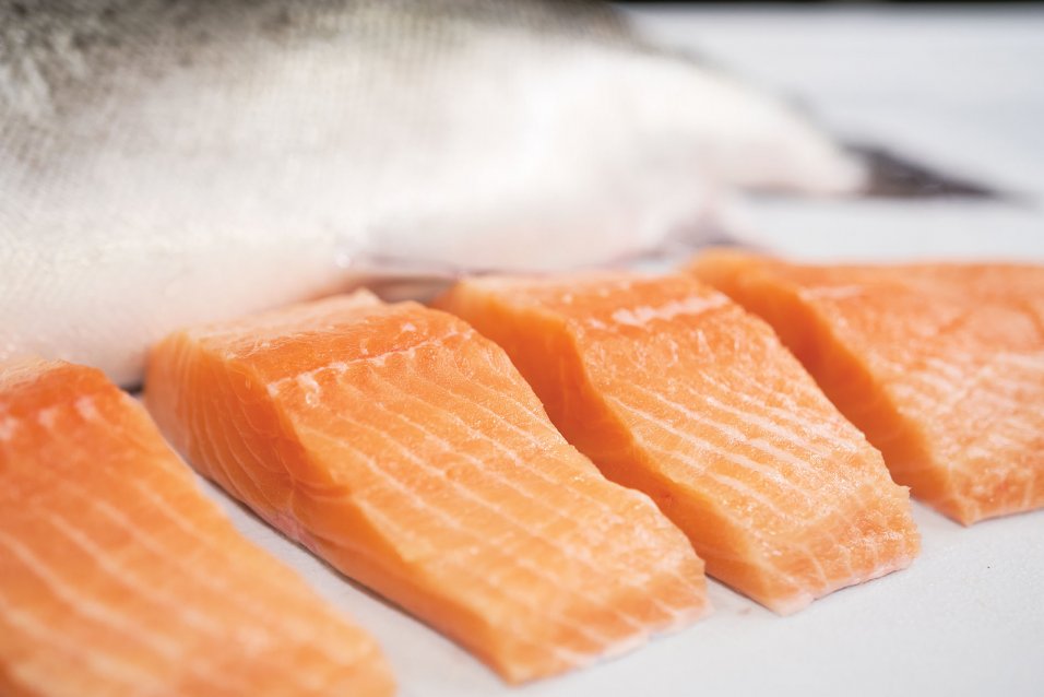 fresh cut salmon fillets 