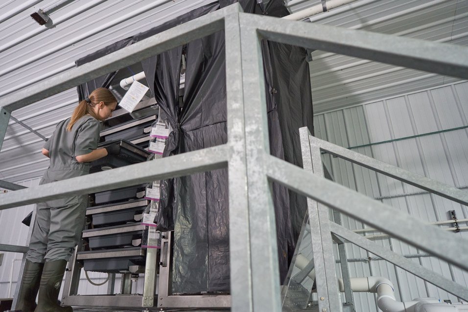 AquaBounty employee working at facility near the stairwell