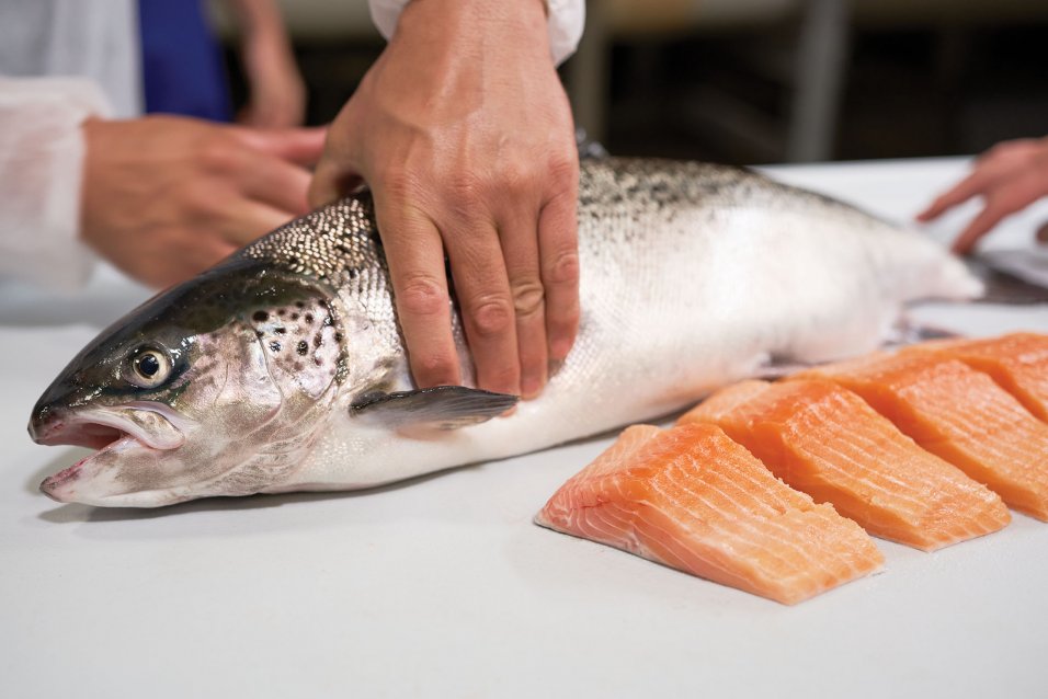 Salmon being held by hand