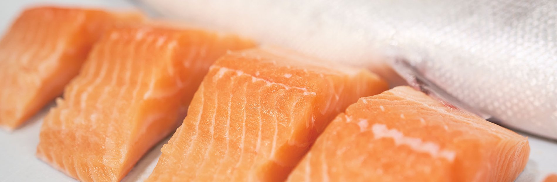 Salmon fillets