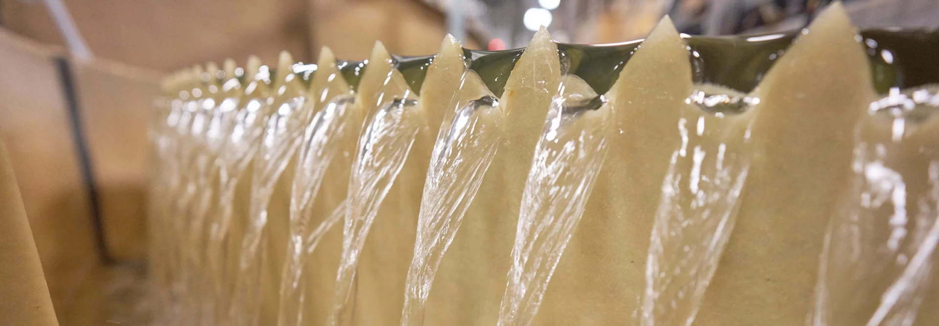 3 Things You Should Know About AquaBounty's Water Usage in Pioneer, Ohio AquaBounty