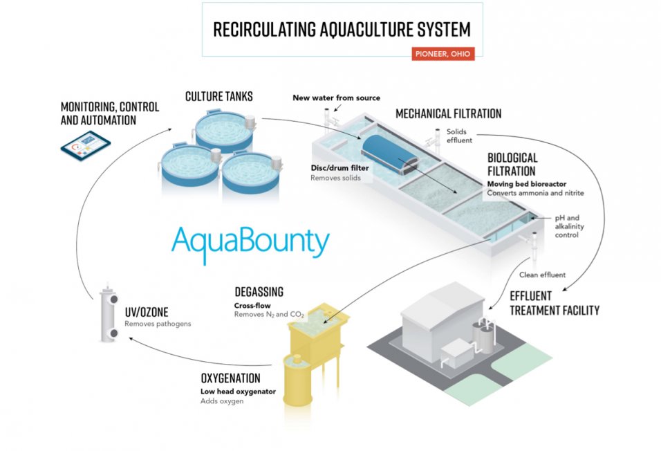 AquaBounty Recirculating Aquaculture System